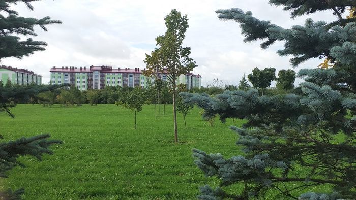 фото предоставлено компанией ООО "Терминал-Ресурс"