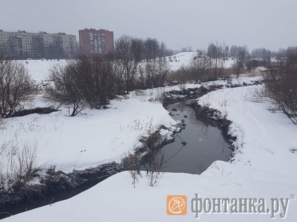 Трехслойная дорога и плиты ниоткуда. Очистка Муринского ручья уперлась в смольнинскую арифметику