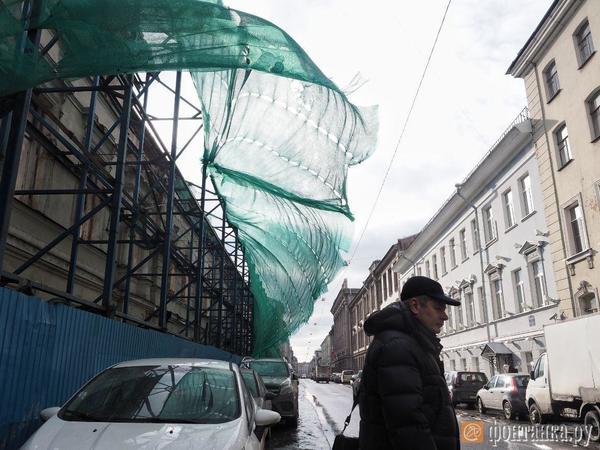 Синоптики предупредили о потенциально опасном ветре в Петербурге