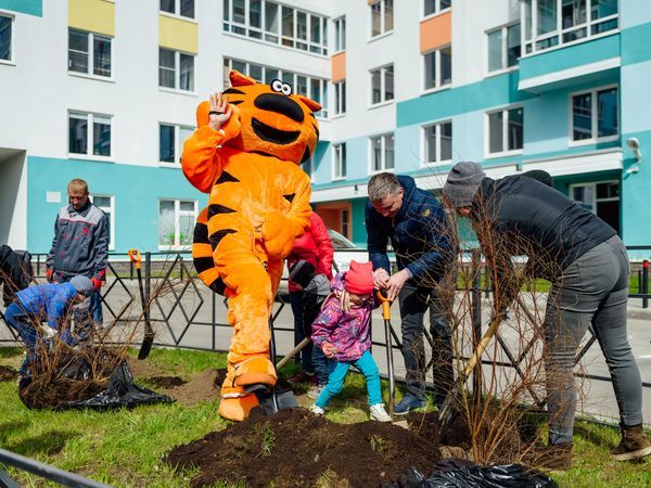 Группа «Эталон» провела озеленение дворов ЖК «Ландыши»