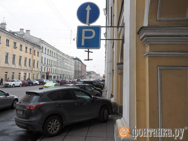 Петербурженка судится со Смольным за право парковаться «елочкой» в центре города. К иску её подтолкнули сотрудники ГИБДД