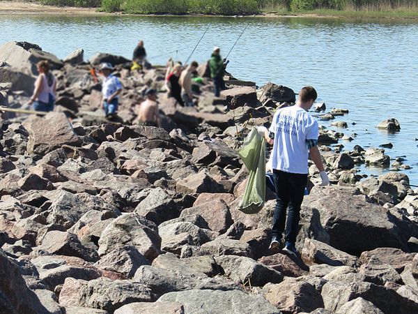 Как создать экодвижение на берегу Финского залива