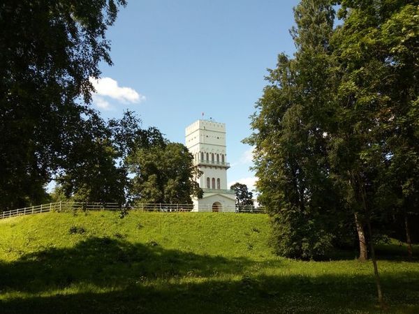 Ура! Лето в Пушкинском районе