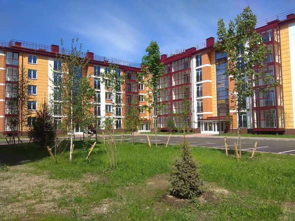 Пушкинский район: жить на высоте