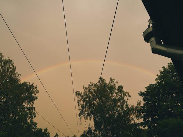 Дождливая красота Петербурга. Горожане показывают в соцсетях пятничный ливень