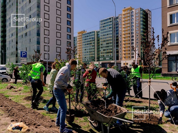 Setl Group организовал праздник с посадкой деревьев в Мурино