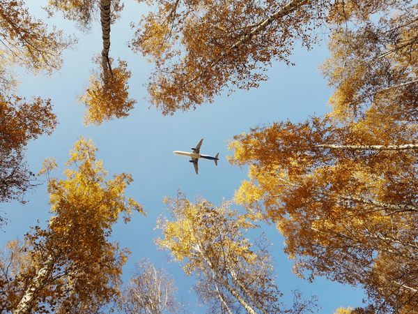 Продолжается традиционная распродажа Уральских авиалиний на бархатный сезон