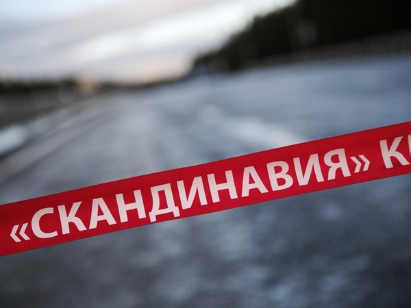 Деньги на обочине. «Фонтанка» выяснила, кто получит тройную цену за свою землю вдоль «Скандинавии»