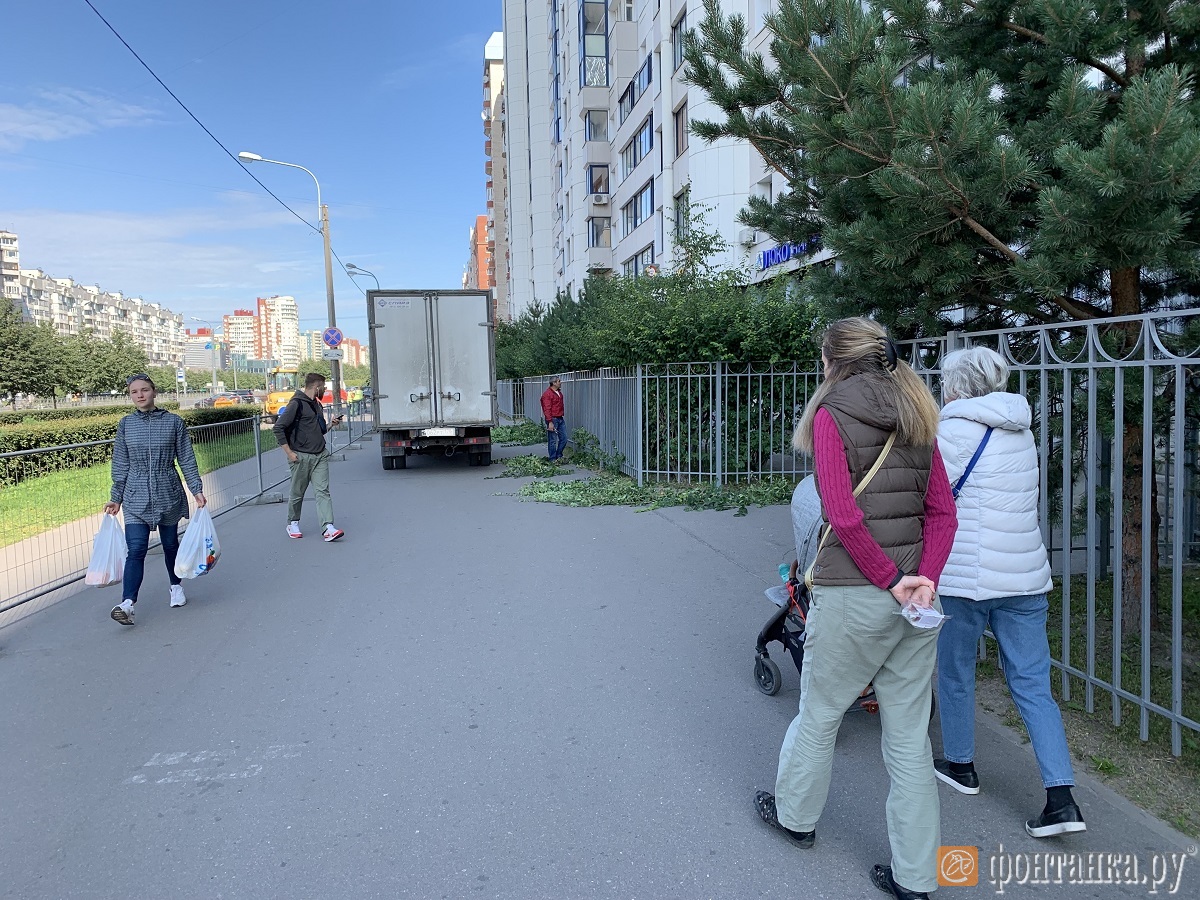 Но дело не в Лизе. Почему Комендантский проспект превратился в тропу войны  пешеходов и автомобилистов — Блог Зануды или занудный блог!