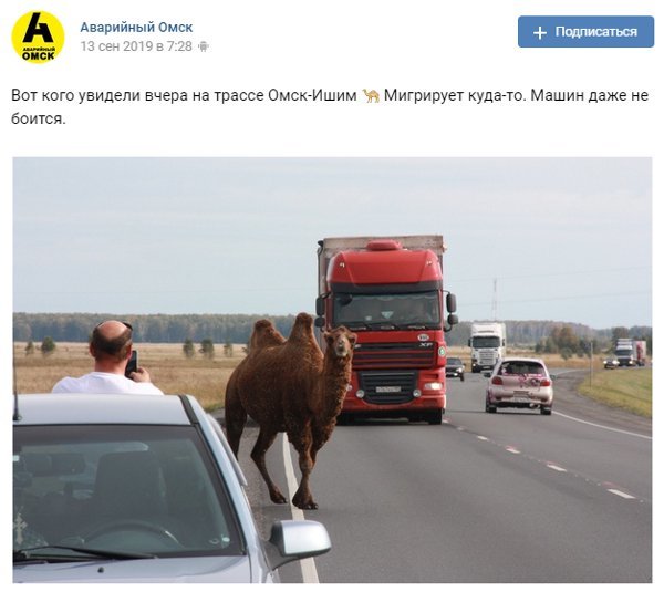 Скриншот из vk.com/aomsk