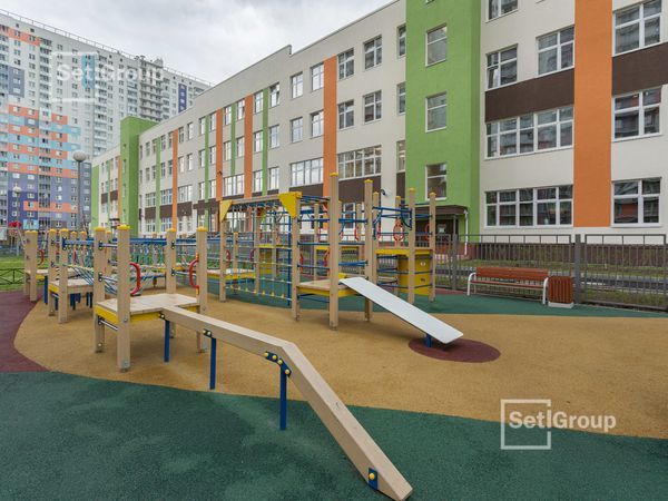 Хвойная аллея украсила открывшуюся школу в Красногвардейском районе