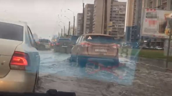 Кадр из видео в vk.com/spb_today