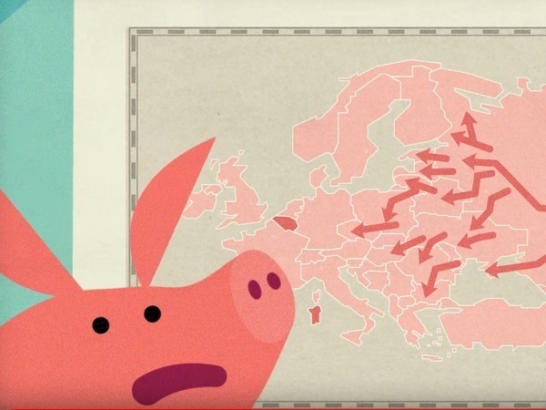 «Африканская чума свиней распространяется через туристов». Финская таможня запустила сайт с инструкциями для россиян и попросила отзывов