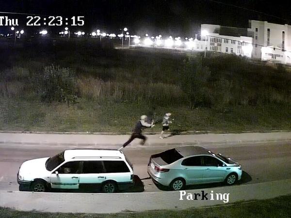 Прогулка вандалов по Красному Селу: прыжки по машинам и поломанные деревья