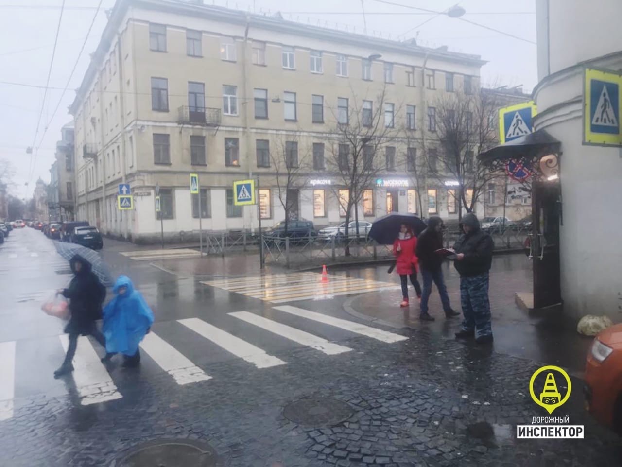 в петербурге пешеходы